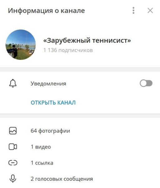 Зарубежный Теннисист