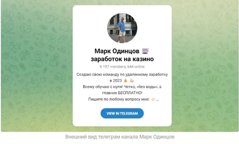 Марк Одинцов [private] — заработок на ставках, отзывы