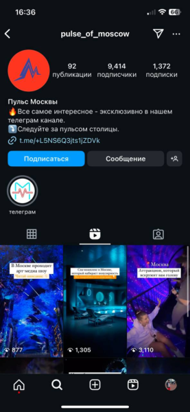 Практически бесплатно: как раскачать свой Telegram-канал через TikTok, «Дзен», YouTube или Instagram